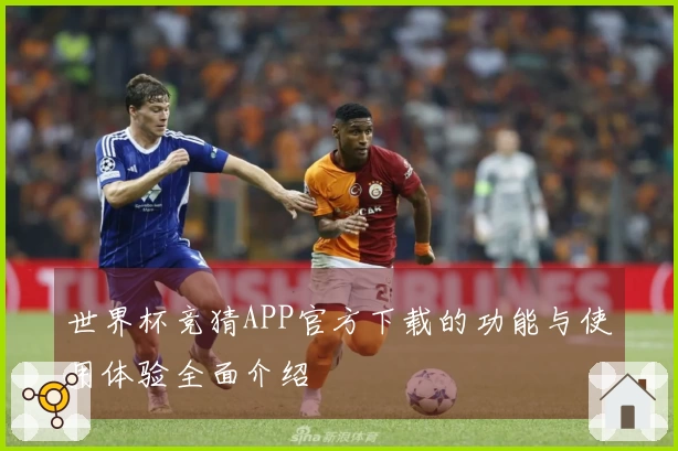 世界杯竞猜APP官方下载的功能与使用体验全面介绍