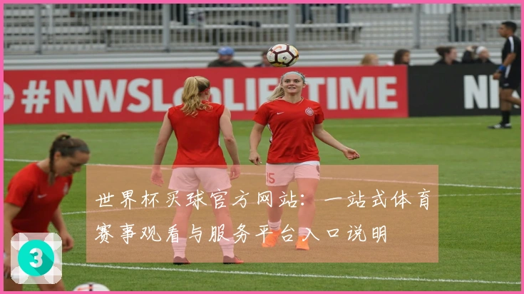世界杯买球官方网站：一站式体育赛事观看与服务平台入口说明