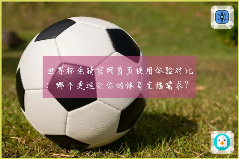 世界杯竞猜官网首页使用体验对比：哪个更适合你的体育直播需求？