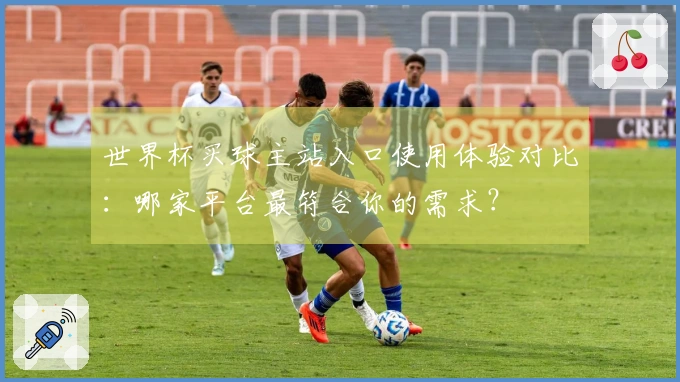 世界杯买球主站入口使用体验对比：哪家平台最符合你的需求？