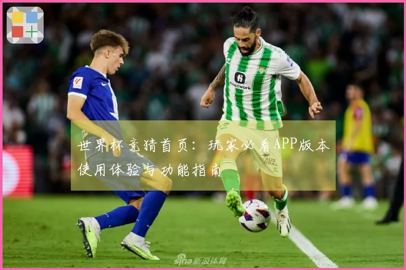 世界杯竞猜首页：玩家必看APP版本使用体验与功能指南