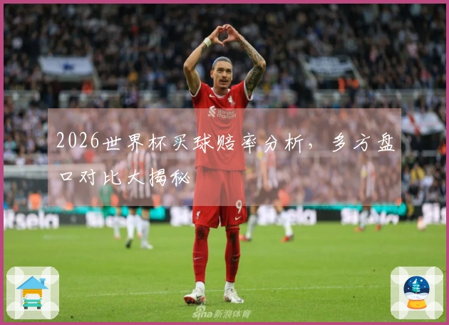 2026世界杯买球赔率分析，多方盘口对比大揭秘