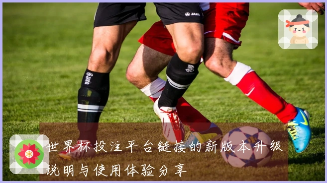 世界杯投注平台链接的新版本升级说明与使用体验分享