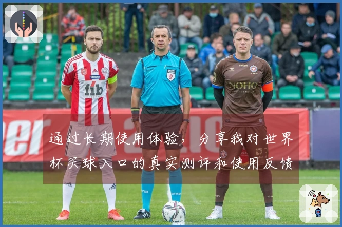 通过长期使用体验，分享我对世界杯买球入口的真实测评和使用反馈
