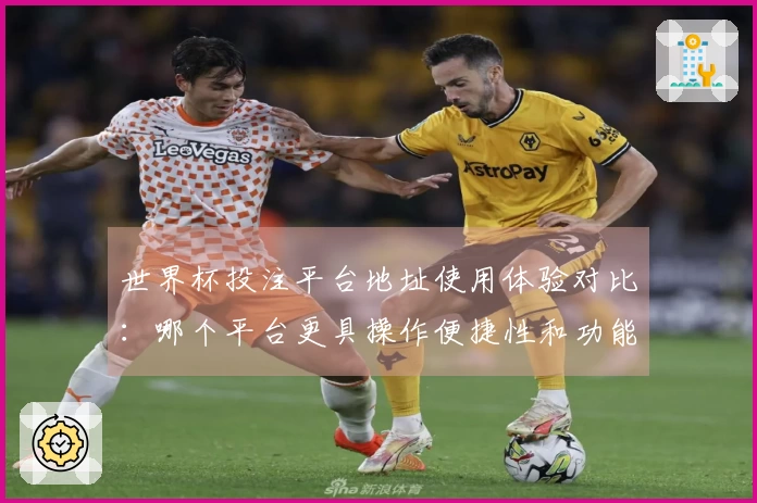 世界杯投注平台地址使用体验对比：哪个平台更具操作便捷性和功能丰富性？