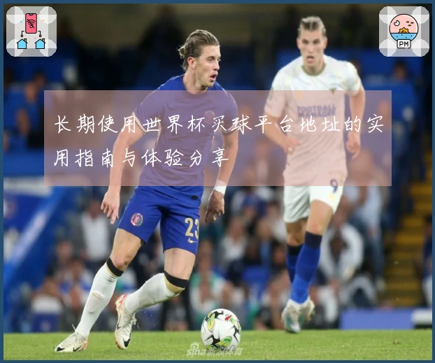 长期使用世界杯买球平台地址的实用指南与体验分享