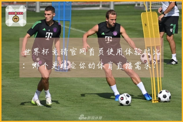世界杯竞猜官网首页使用体验对比：哪个更适合你的体育直播需求？