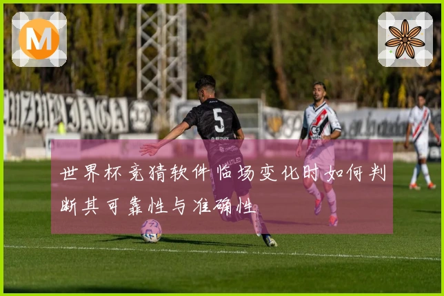 世界杯竞猜软件临场变化时如何判断其可靠性与准确性