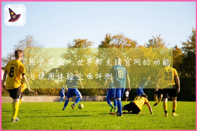 用户实测：世界杯竞猜官网的功能与使用体验全面评测