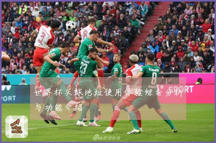 世界杯买球地址使用体验综合分析与功能介绍