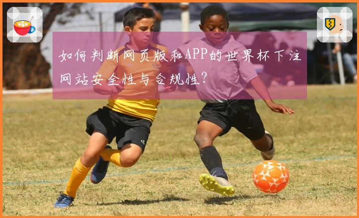 如何判断网页版和APP的世界杯下注网站安全性与合规性？