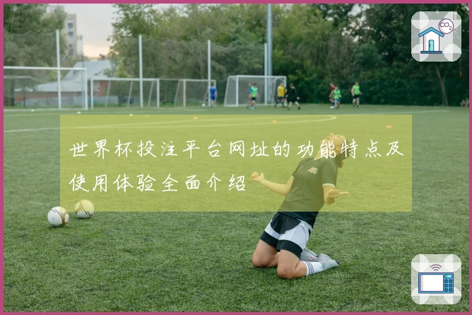 世界杯投注平台网址的功能特点及使用体验全面介绍